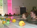 dsc swimming lessons discovery ducklings